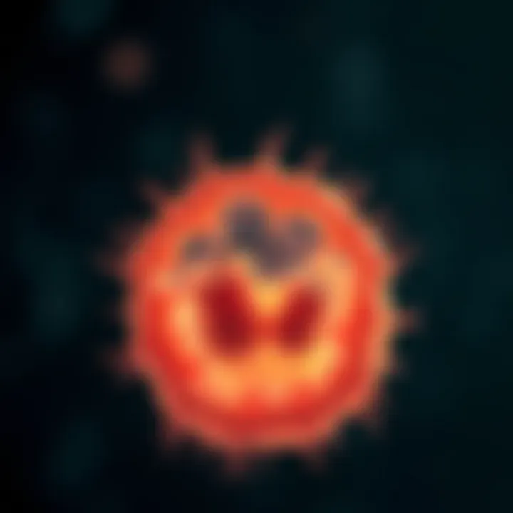 Illustration of an amoeba undergoing binary fission highlighting cytoplasmic division and formation of two daughter cells