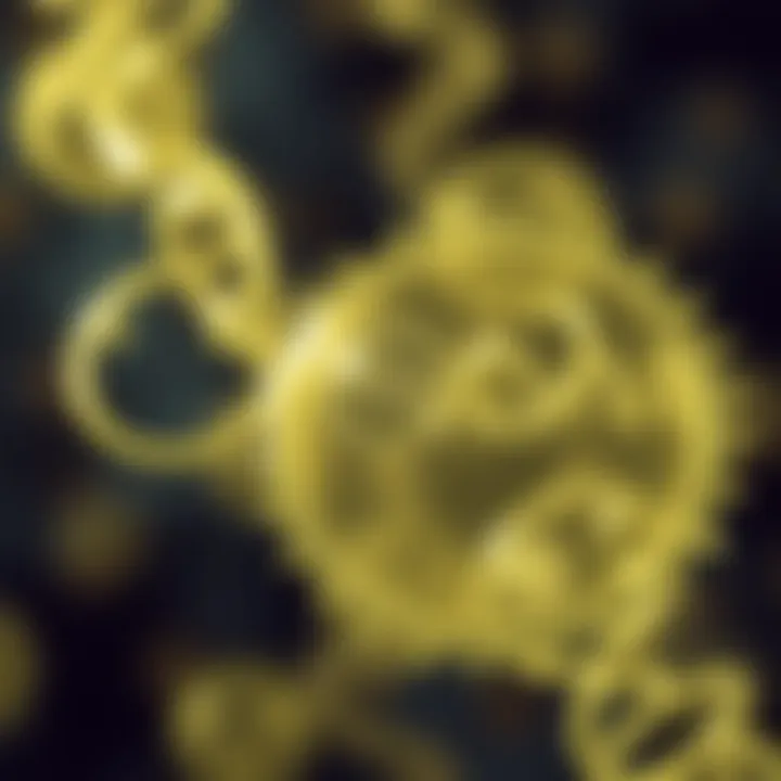 Diagram showing the stages of binary fission in a bacterial cell with DNA replication and cell division