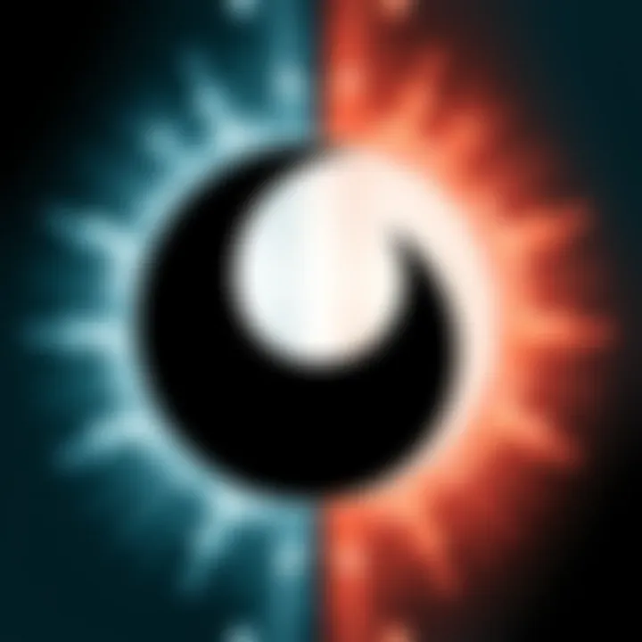 An abstract representation of dualistic ideas symbolized by contrasting black and white shapes merging at the center