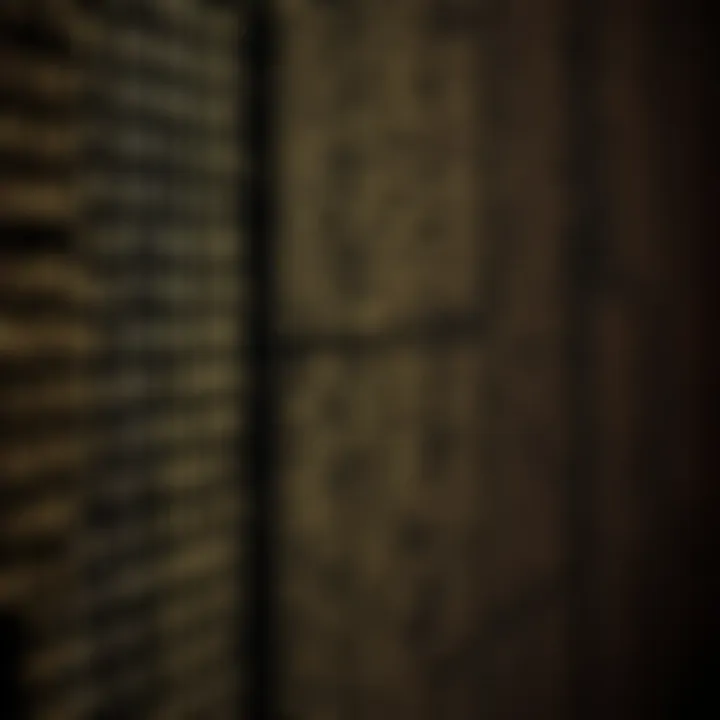 Visualization of binary search algorithm narrowing down the search range in a sorted array