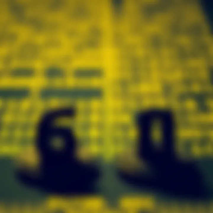 Visual representation of the decimal and binary number systems highlighting their differences