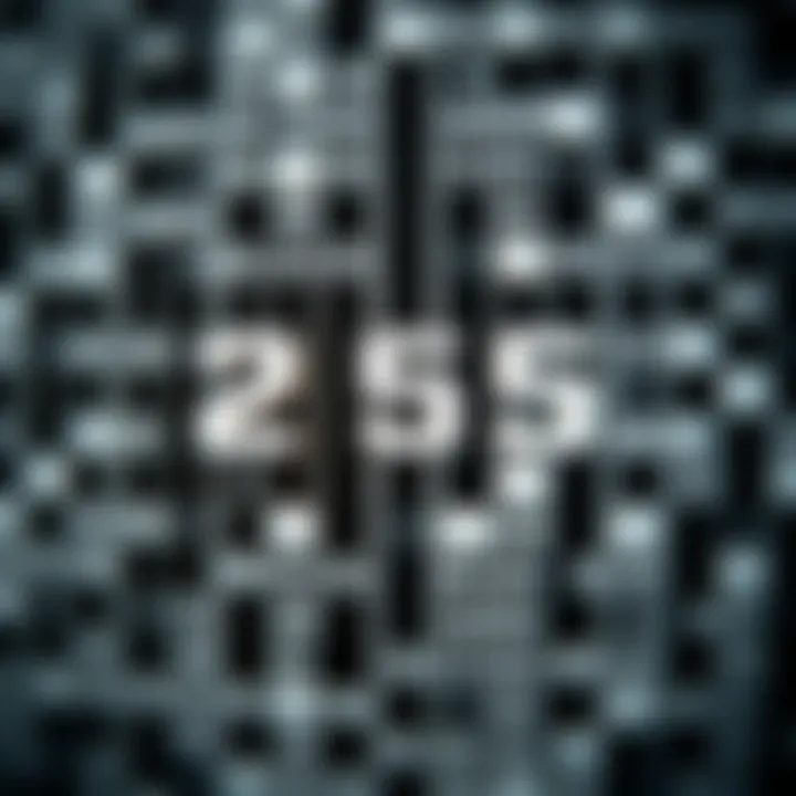 Diagram illustrating the binary representation of the highest 8-bit value using black and white squares