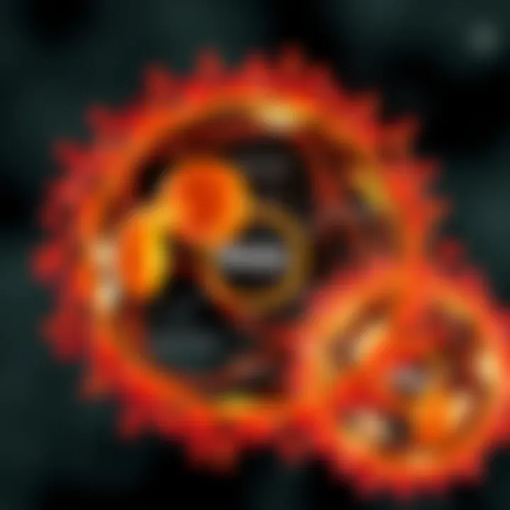 Diagram illustrating the stages of binary fission in a prokaryotic cell including DNA replication and cell division