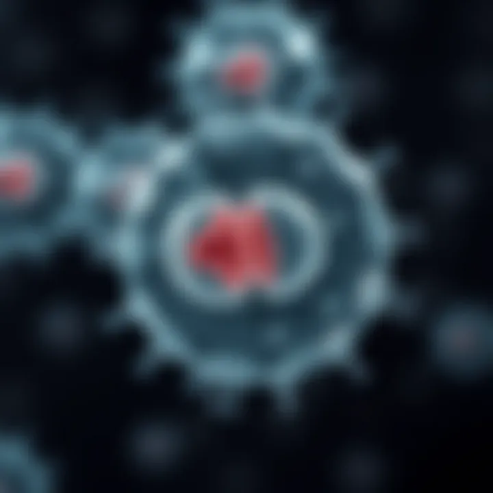 Diagram showing a single cell undergoing binary fission, illustrating the duplication and division stages