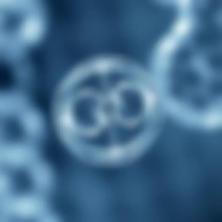 Diagram showing the division of a single-celled organism during binary fission