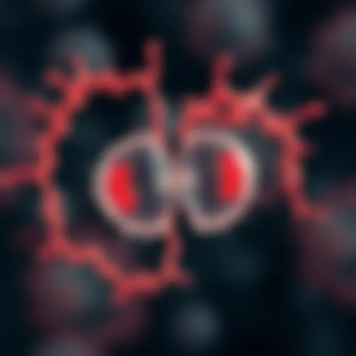 Diagram depicting the splitting of an amoeba into two identical daughter cells